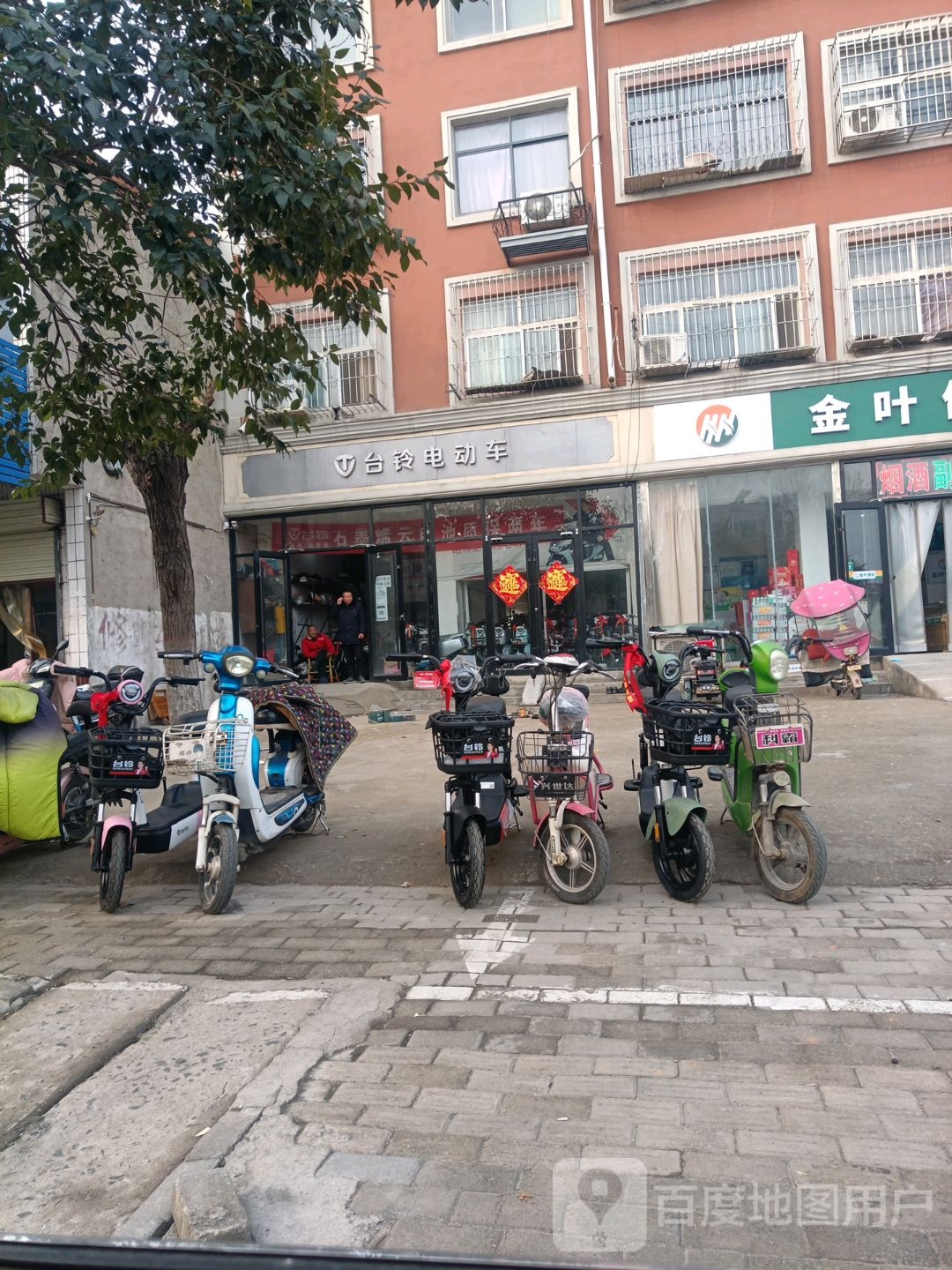 遂平县台铃电动车(国槐路店)