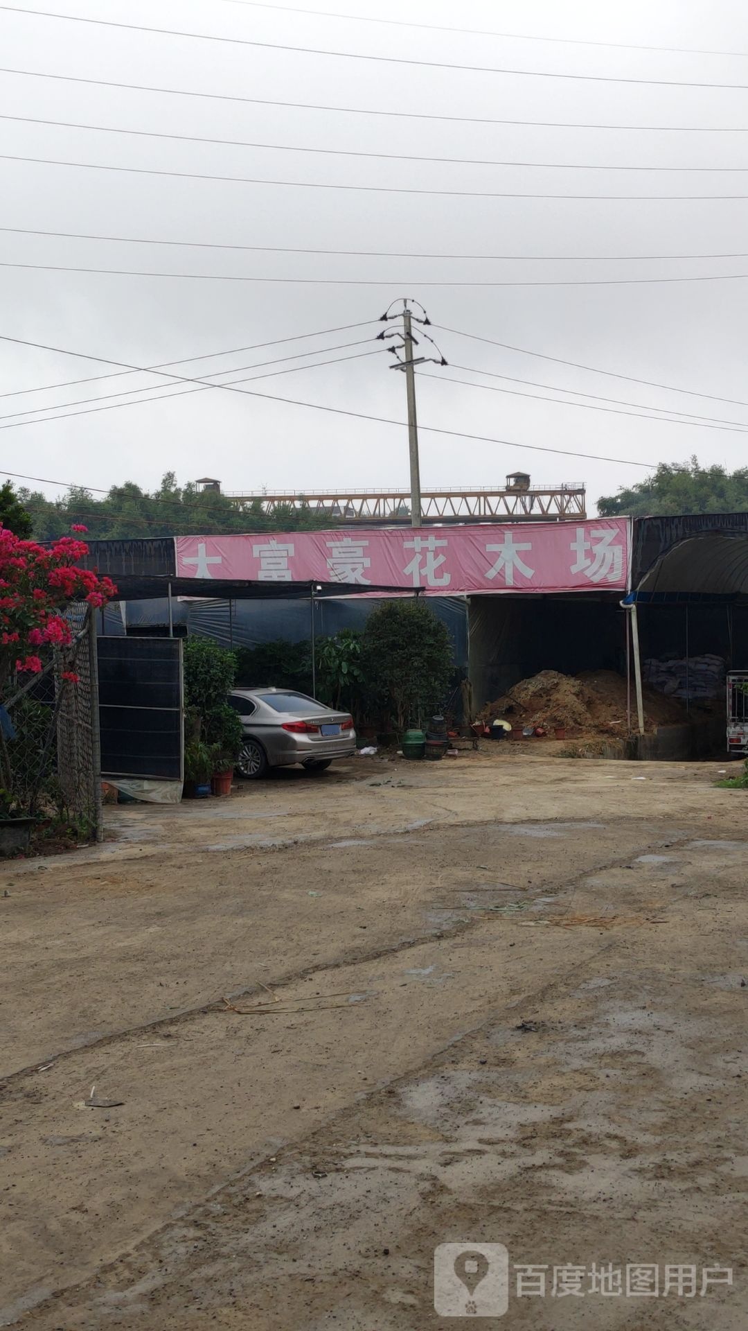 南宁市大富豪花木场