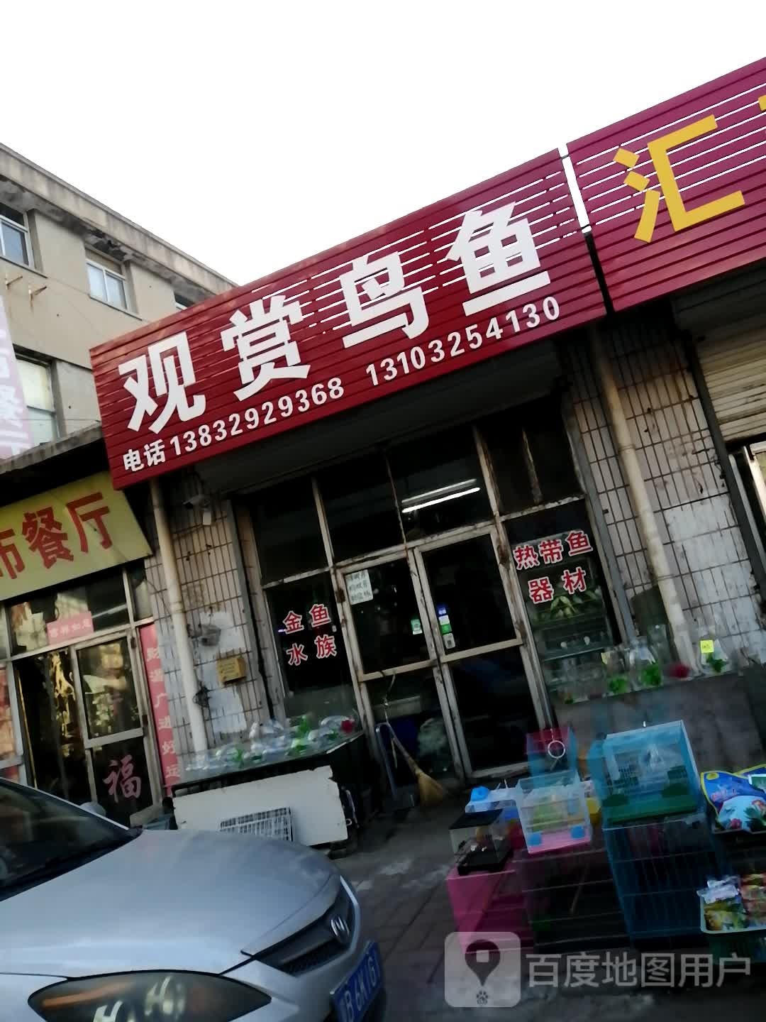 观赏鸟鱼