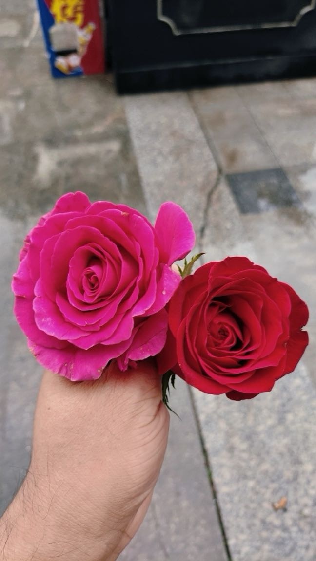 朵朵诗荟花礼(榆林万达广场店)