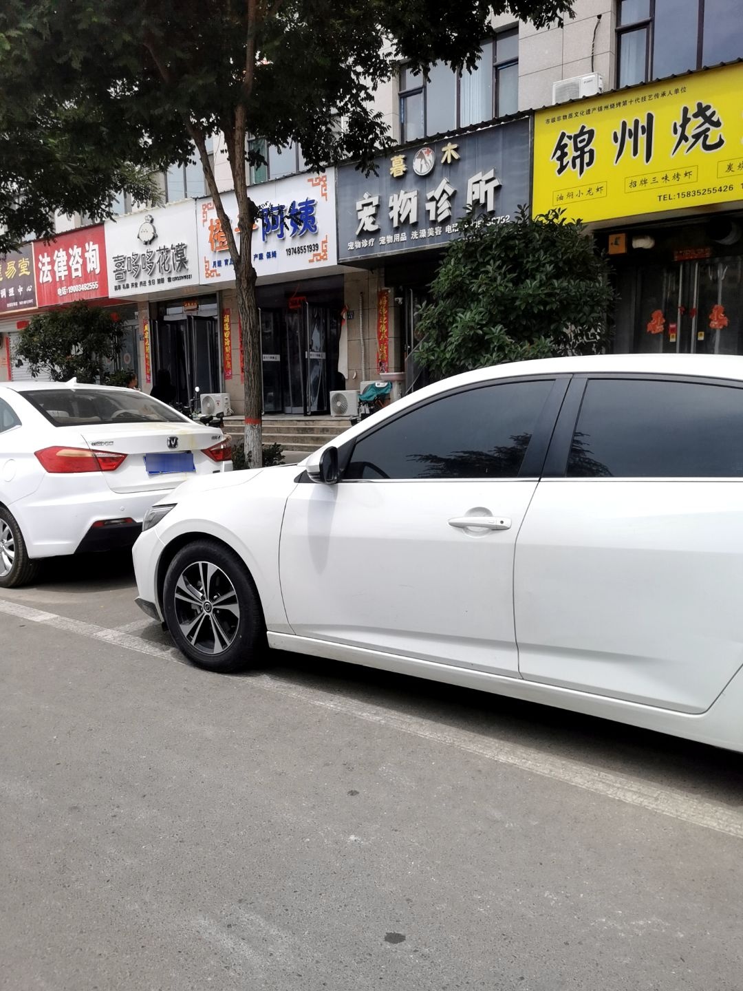 暮木宠物诊所