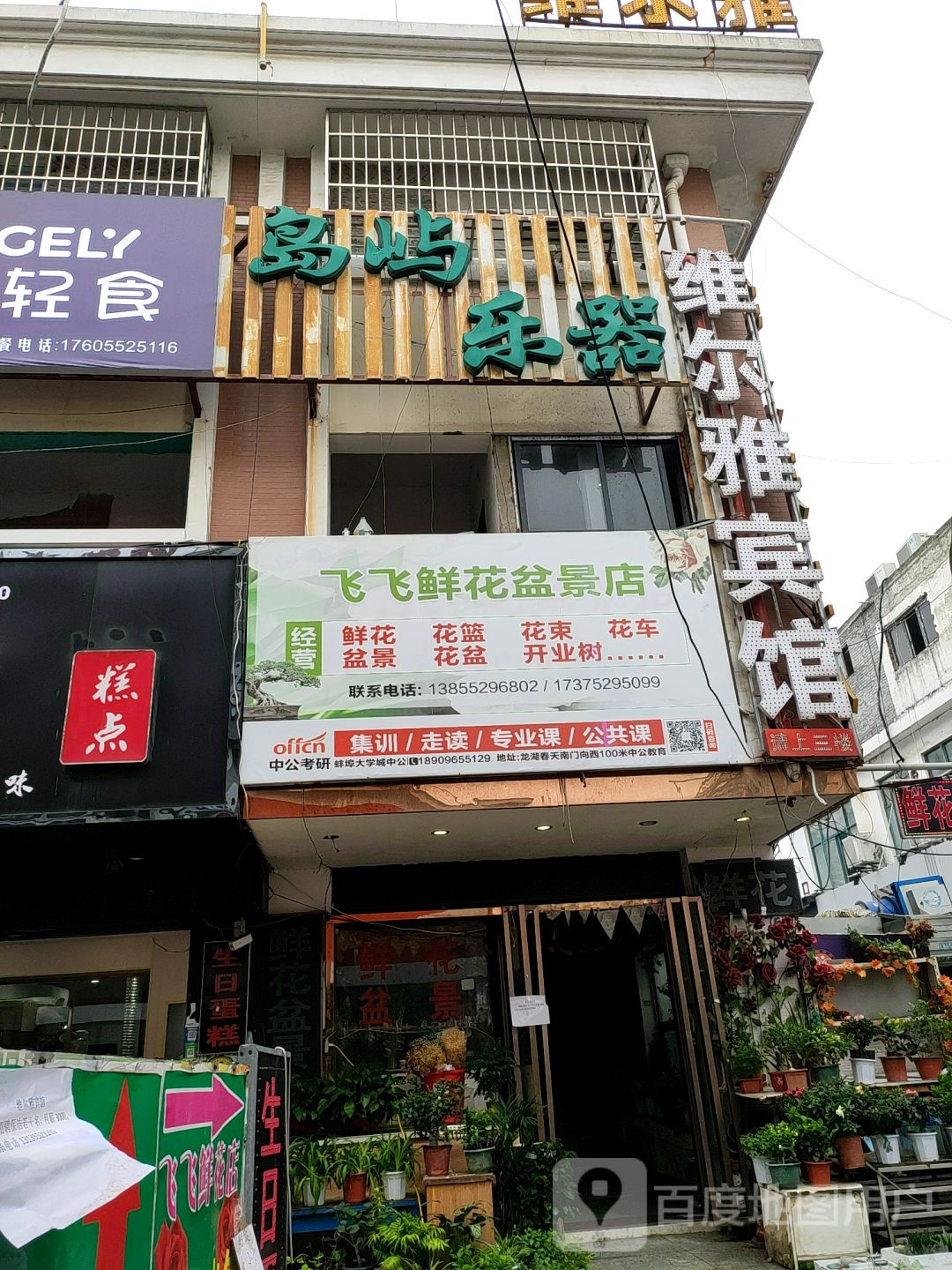 飞飞鲜花盆景店