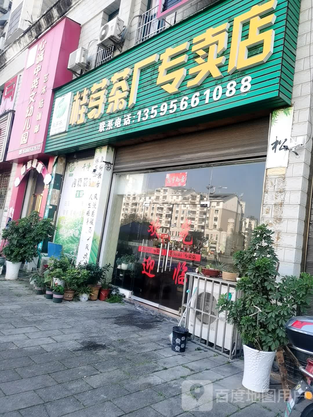 桂芽茶厂专卖店