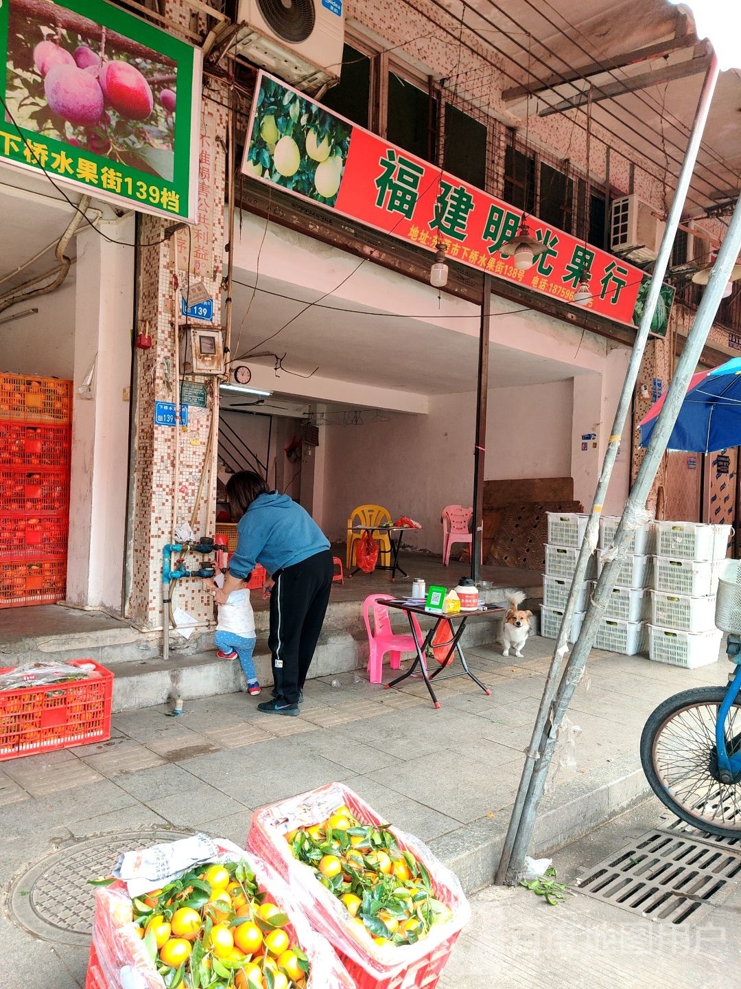 福建明光果行