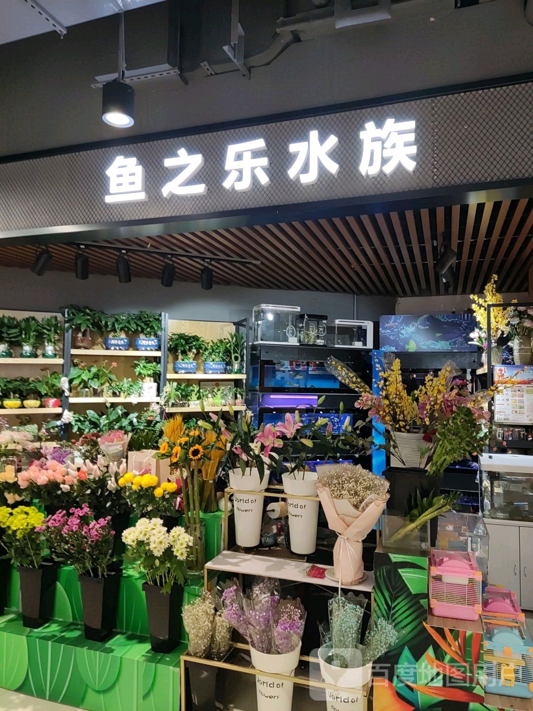 鱼之乐水族(惠州吾悦广场店)