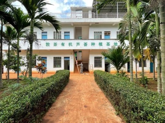 海南九面通(敦茶)有机芦荟种植基地