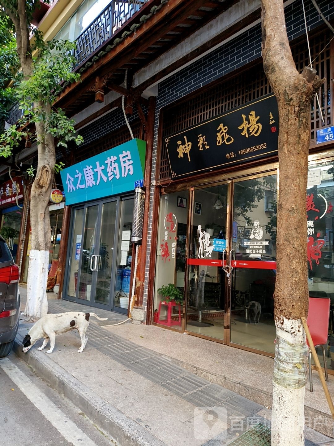 茹神采飞扬
