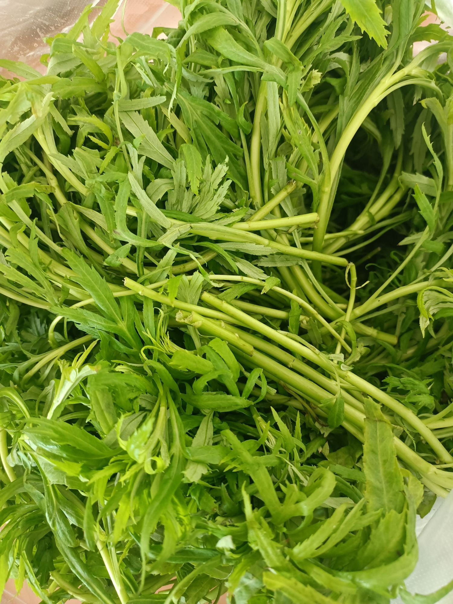 农贸水产市场(长白路店)