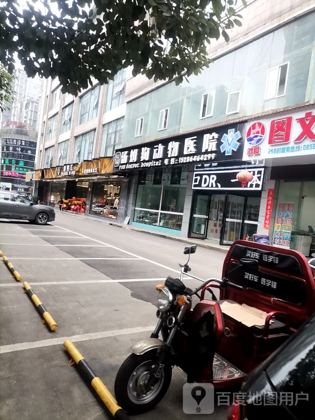 汤姆狗宠物医院(荷城店)