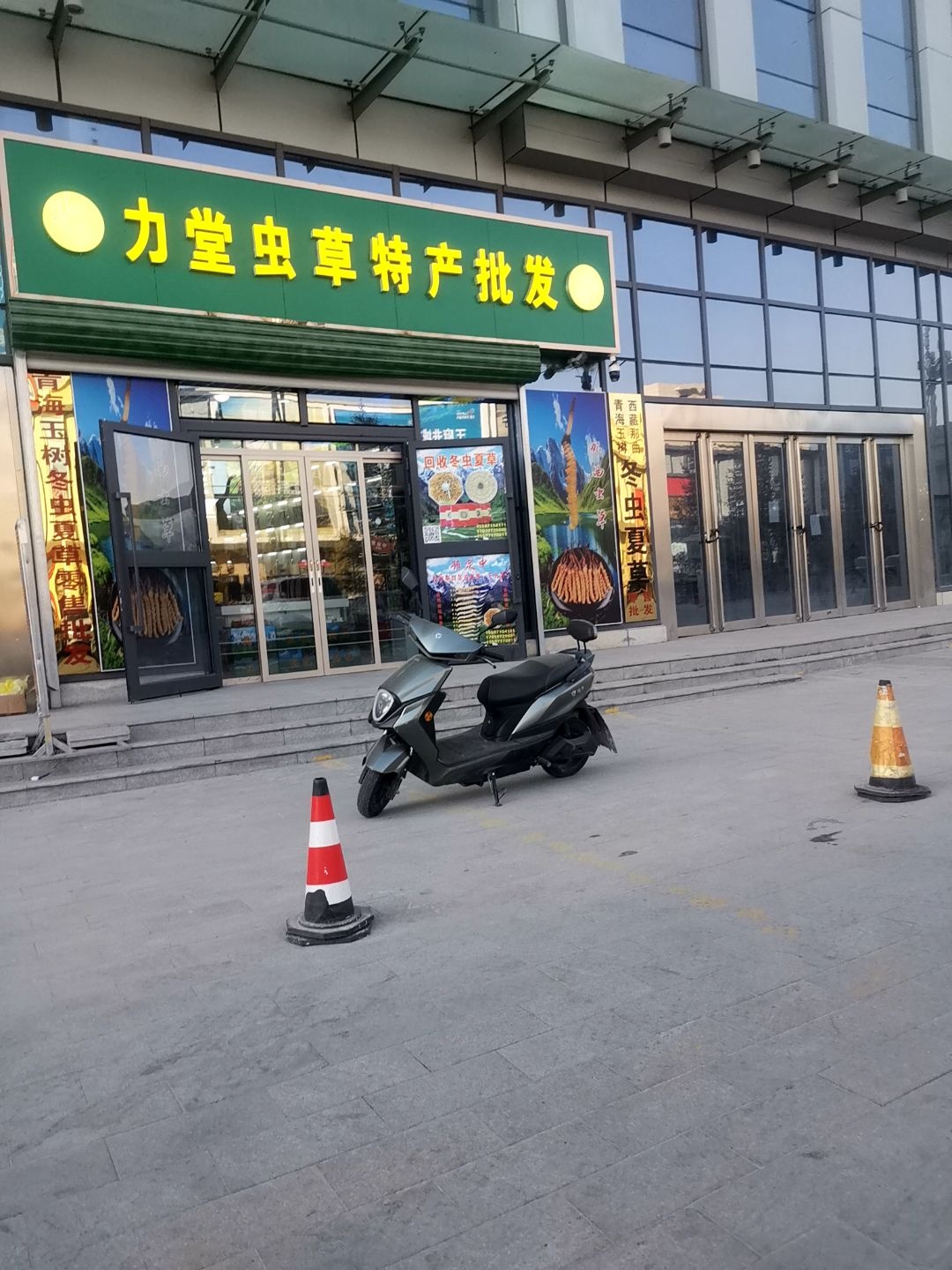 力堂虫草特产批发