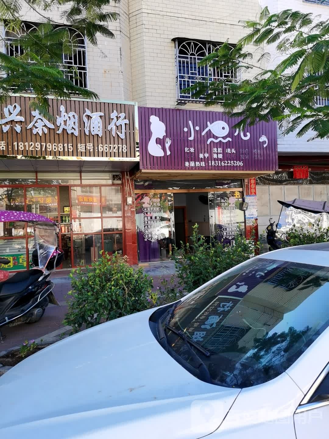 小鱼尔