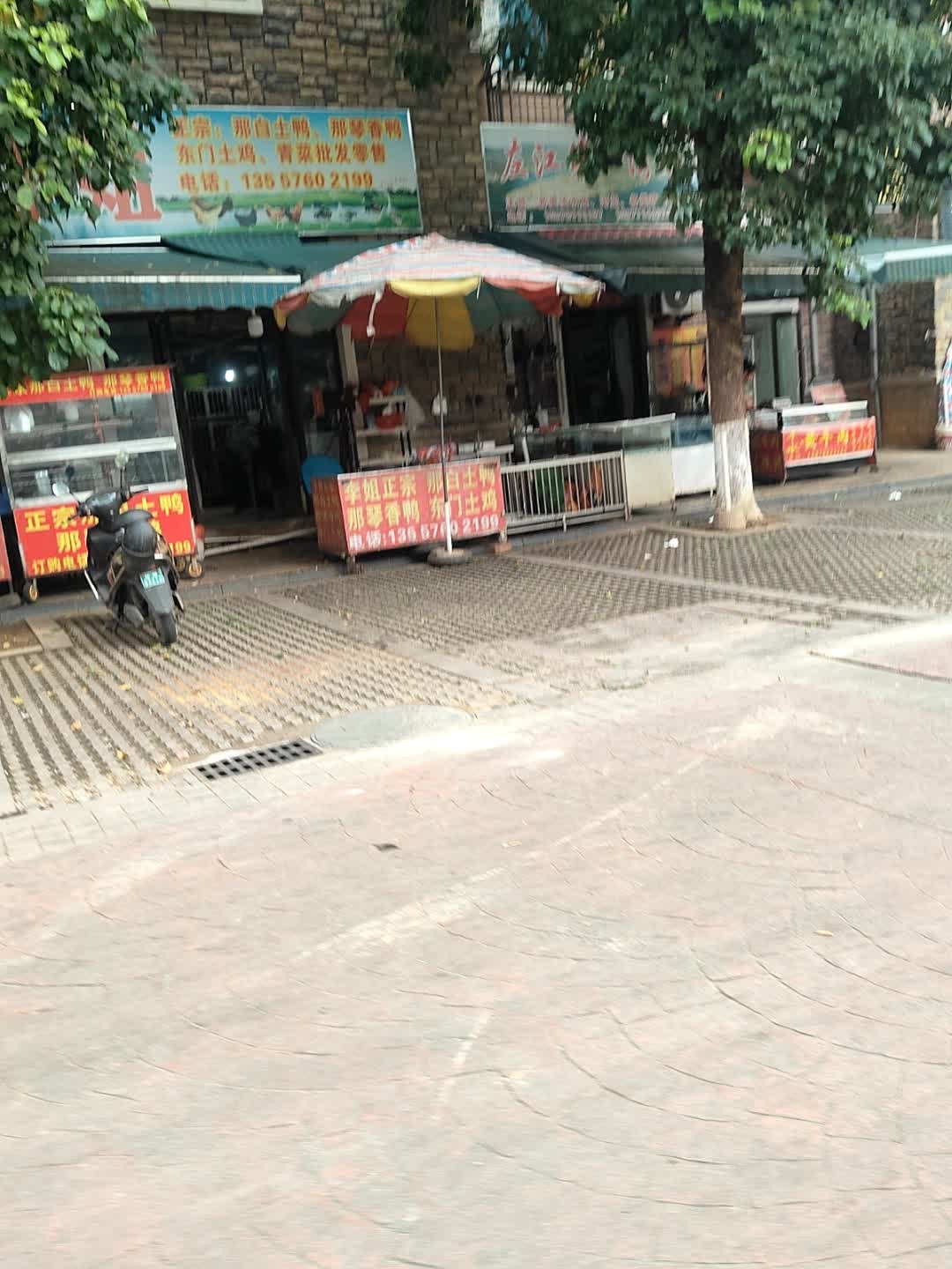 左江第一湾水产店