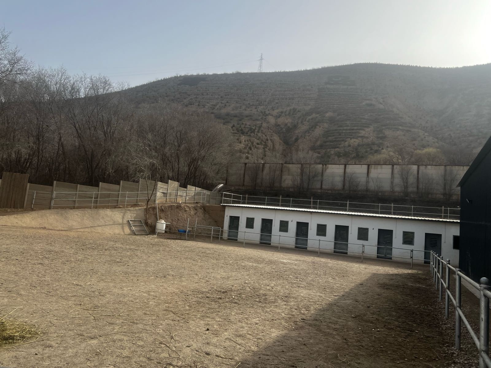 中晟马术俱乐部