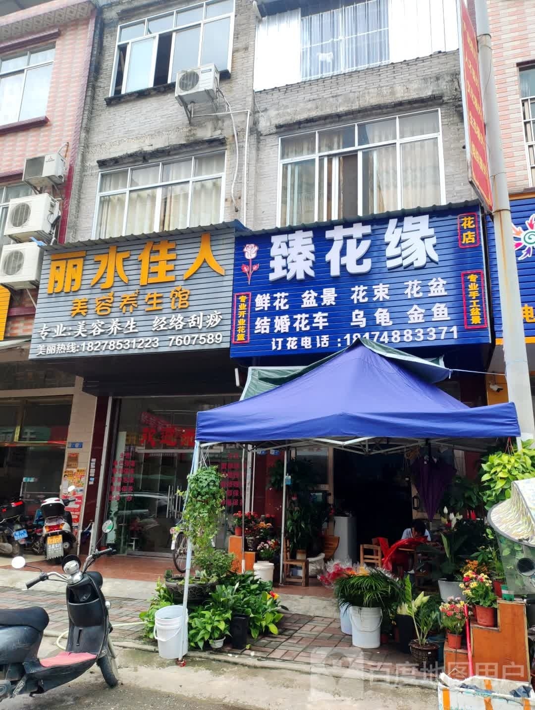 臻花缘花店