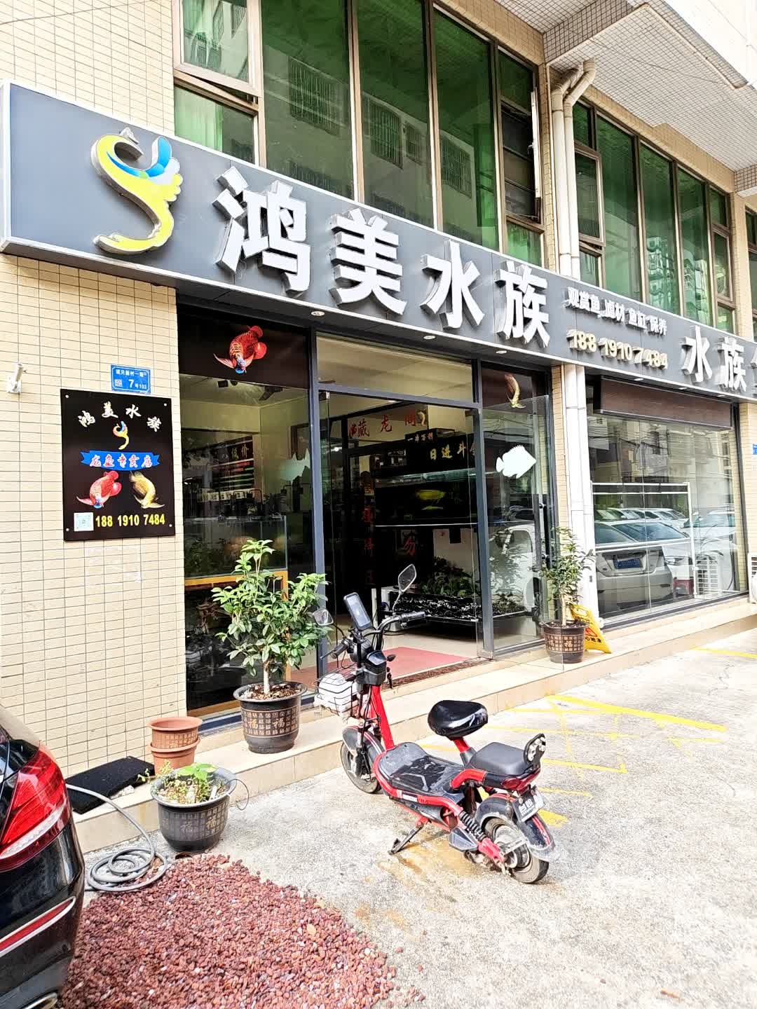 鸿美水族-龙鱼专卖店