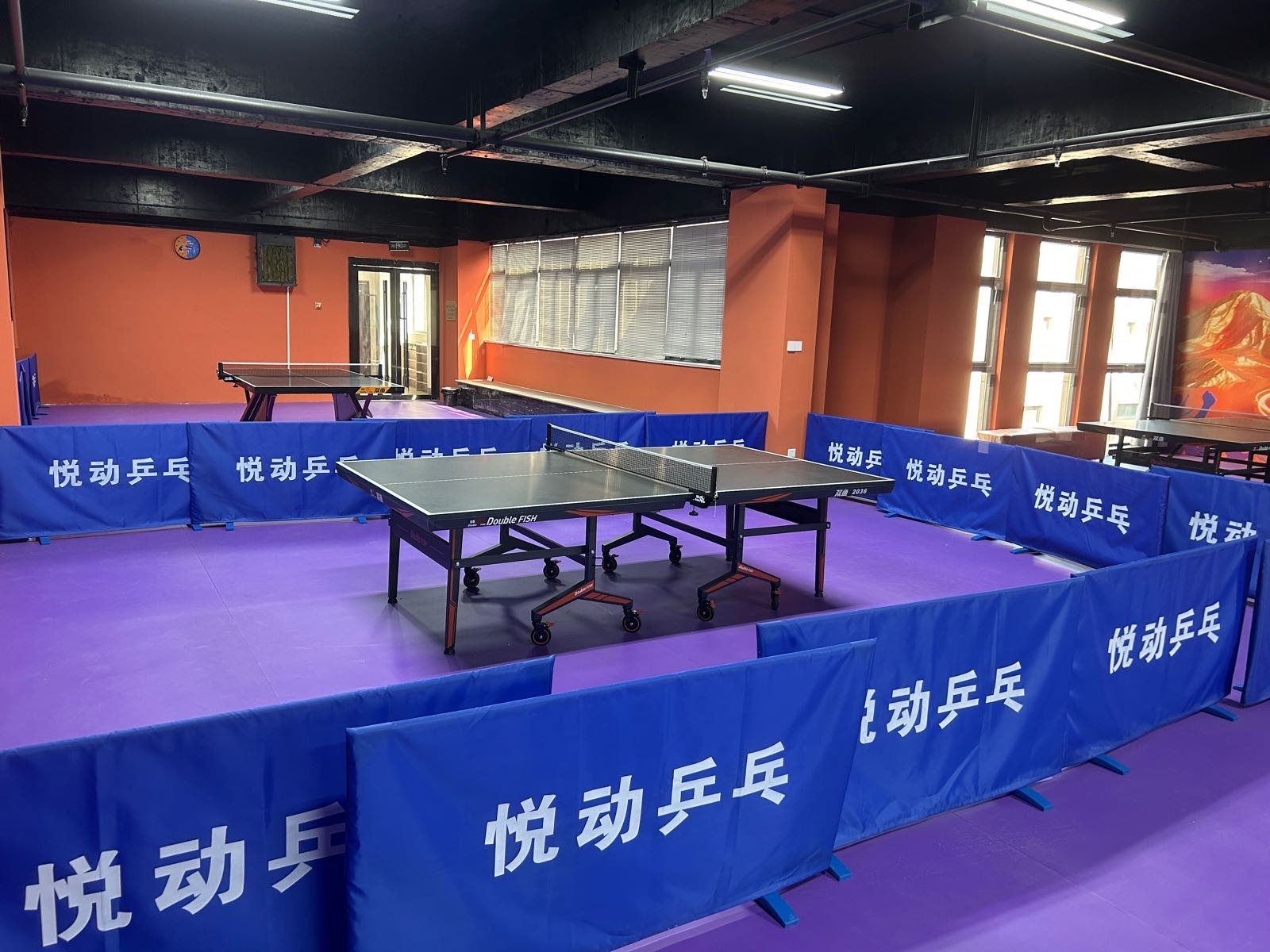 临泉悦动乒乓球俱乐部