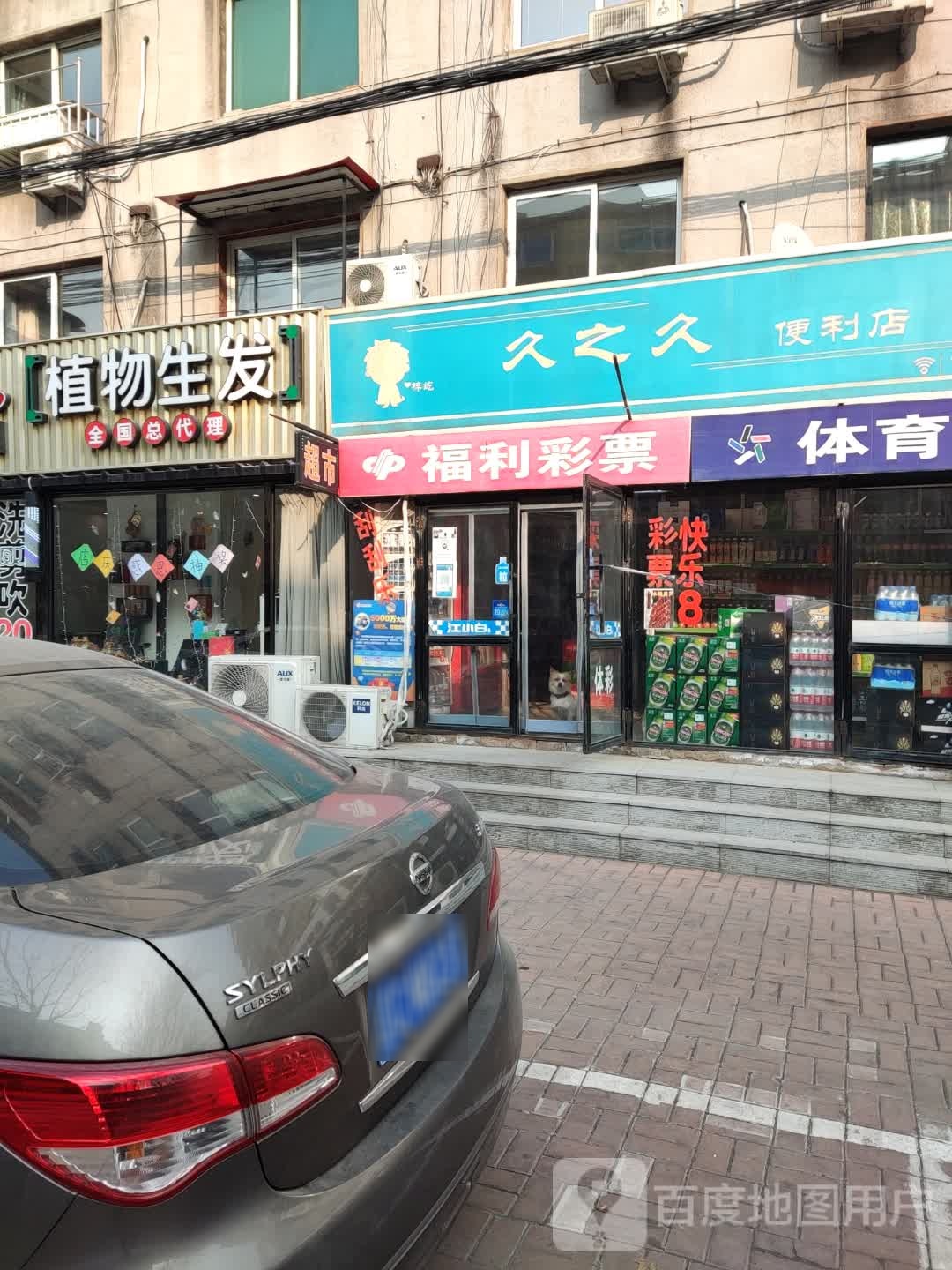 植物植发