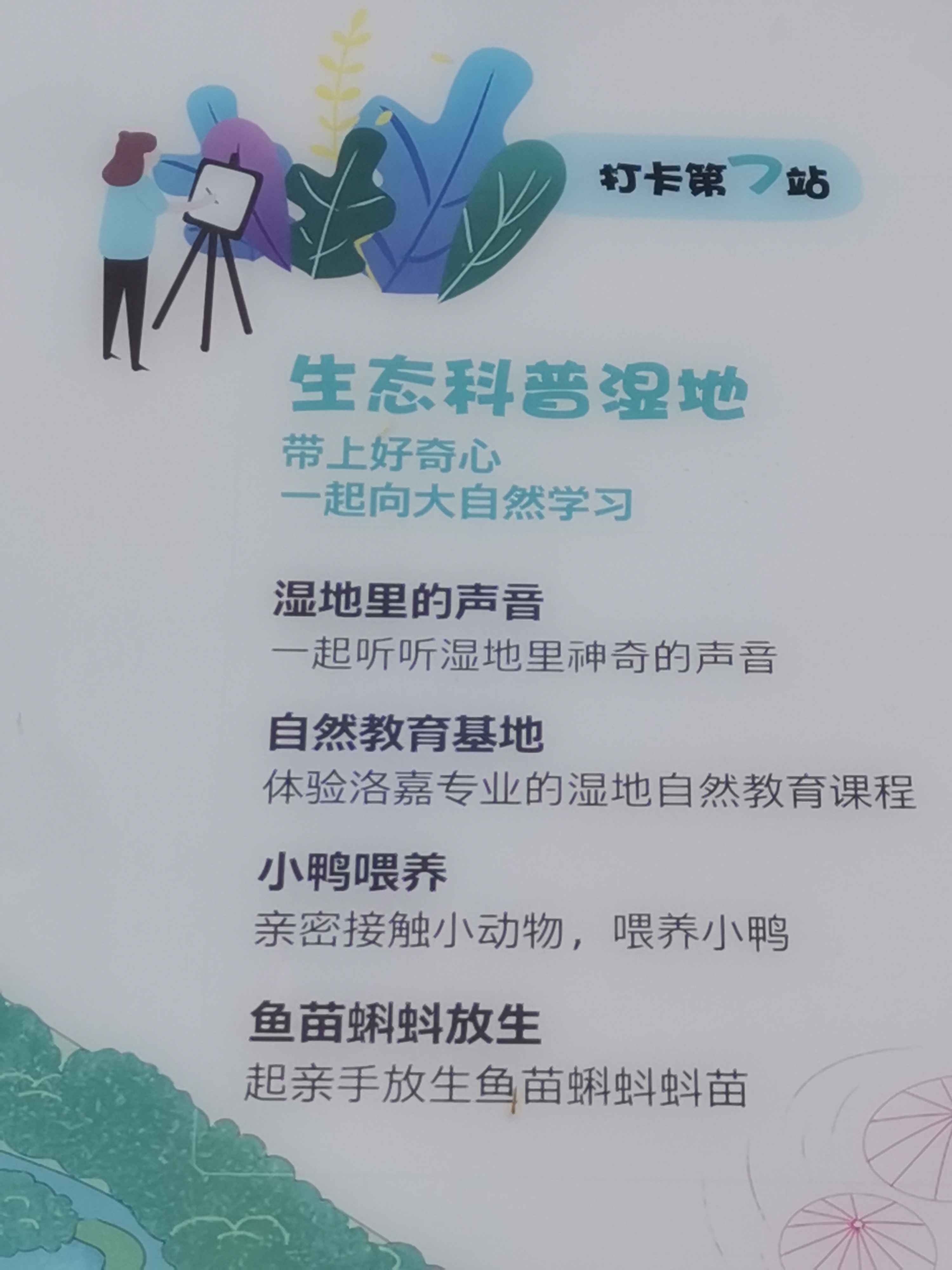 生态科普湿地