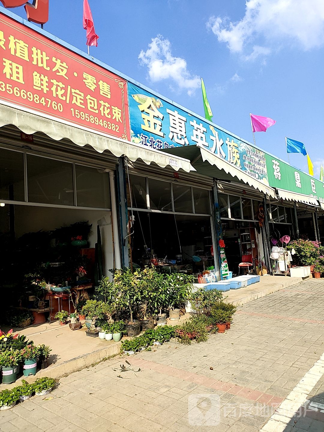 金惠英水景