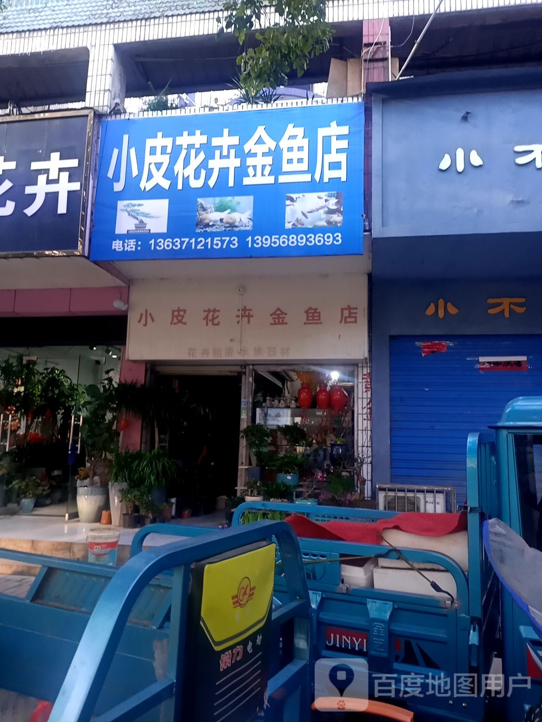 小皮市花