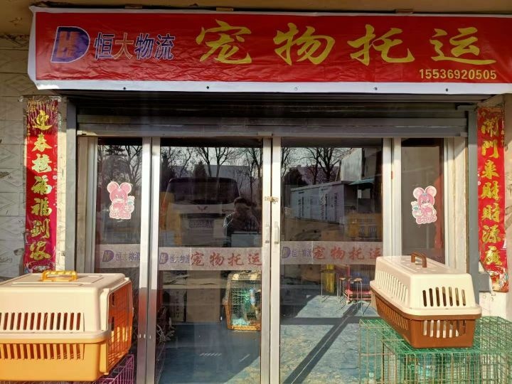 恒大宠物托运