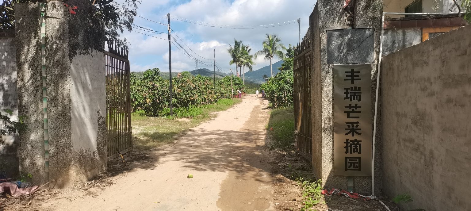 丰瑞芒采摘园