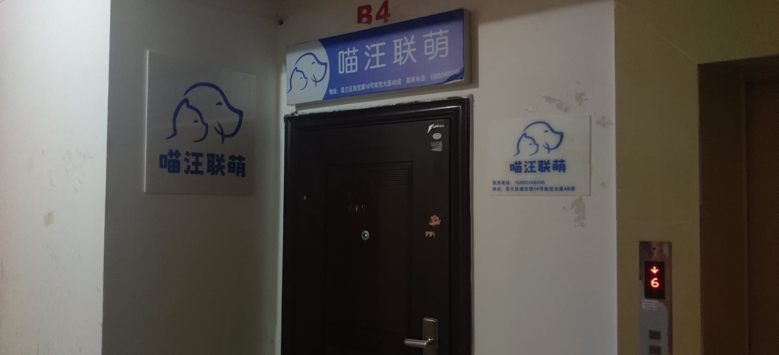 喵汪联萌宠物店