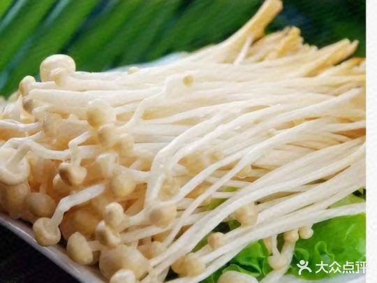 白云牛肉wan子面(车站街店)