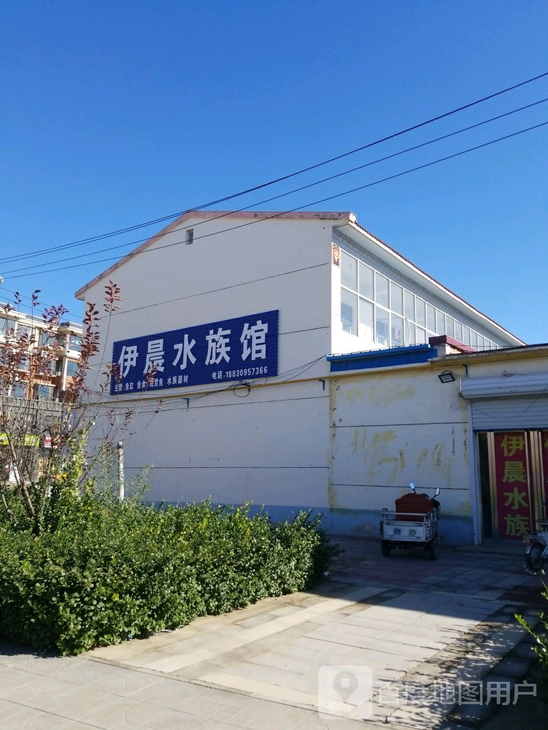 伊晨水族馆