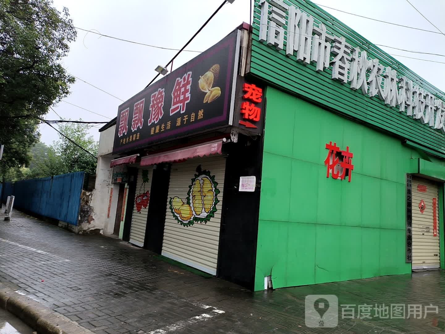 顽尜鲜飘豫飘茗