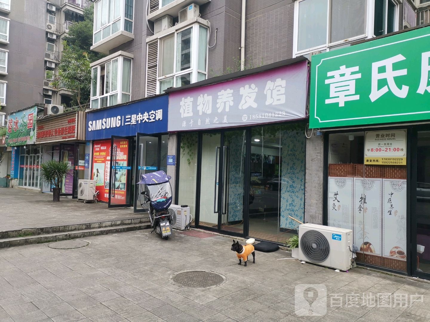 碧水茶园