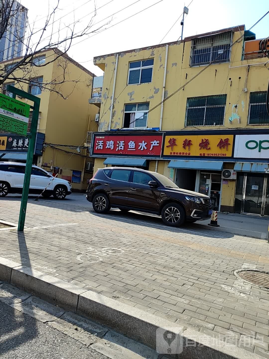 活鸡活鱼水产