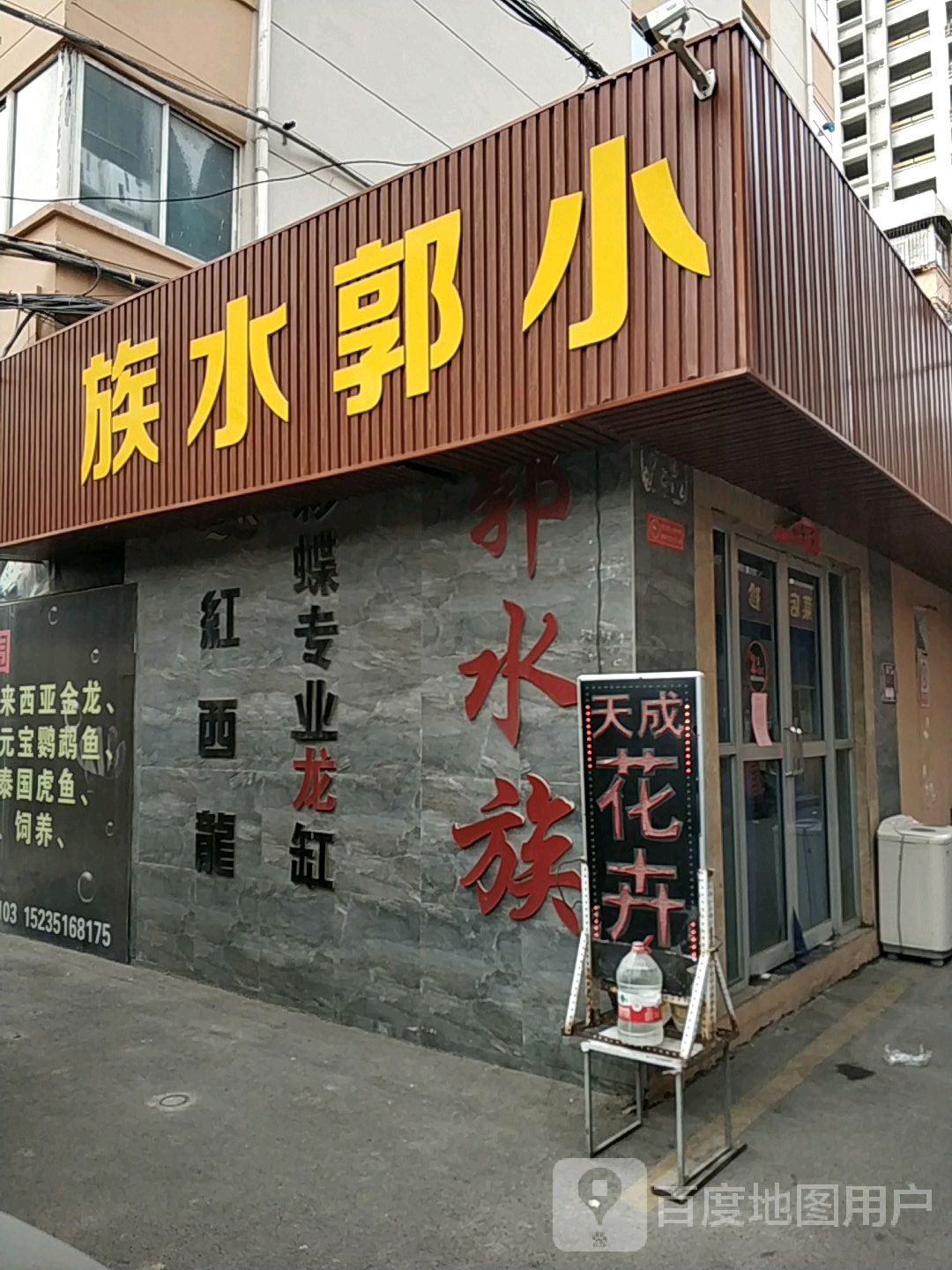小郭水族(建南花鸟鱼市店)