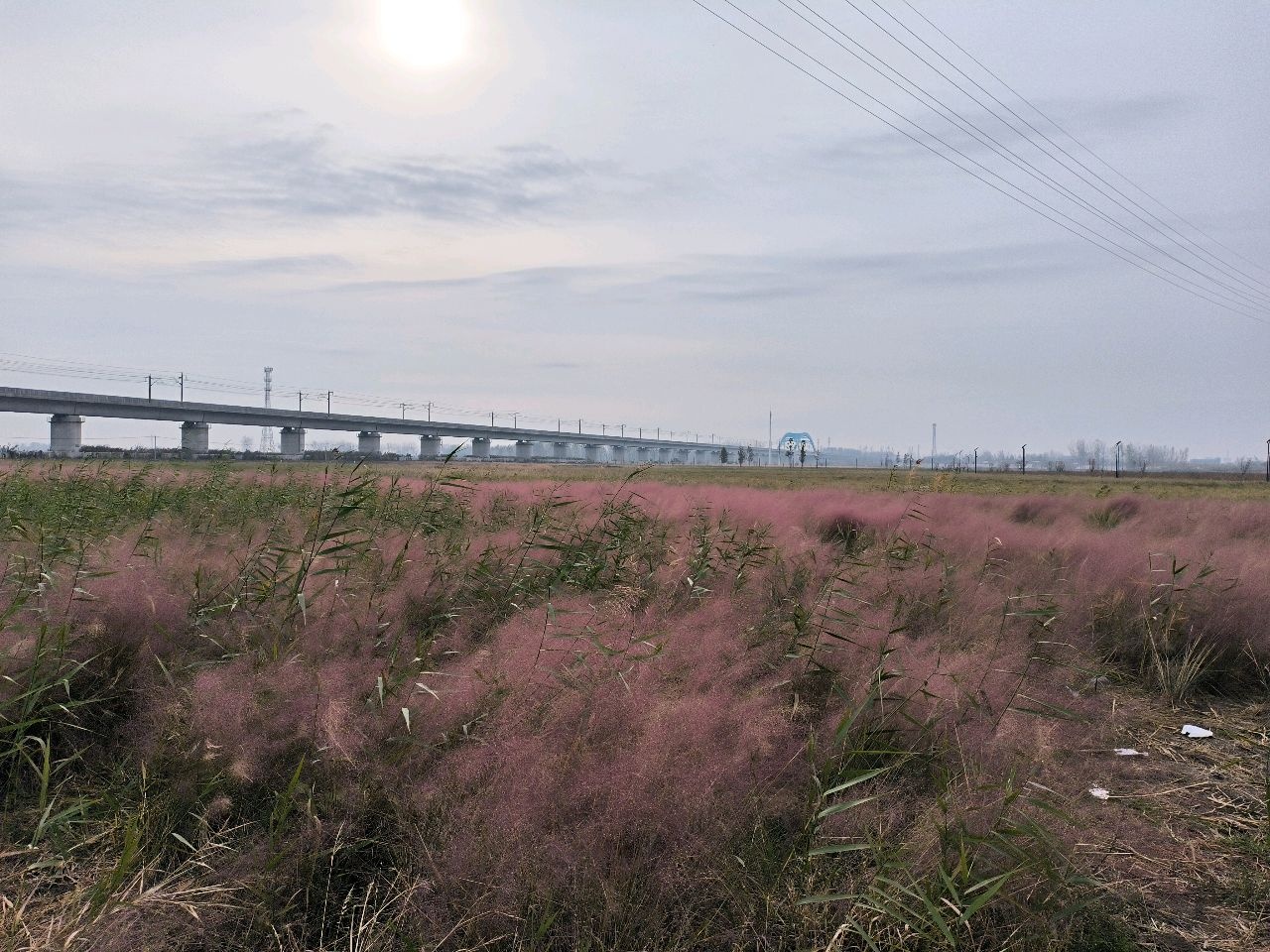 谷阳镇大楼居湿地公园