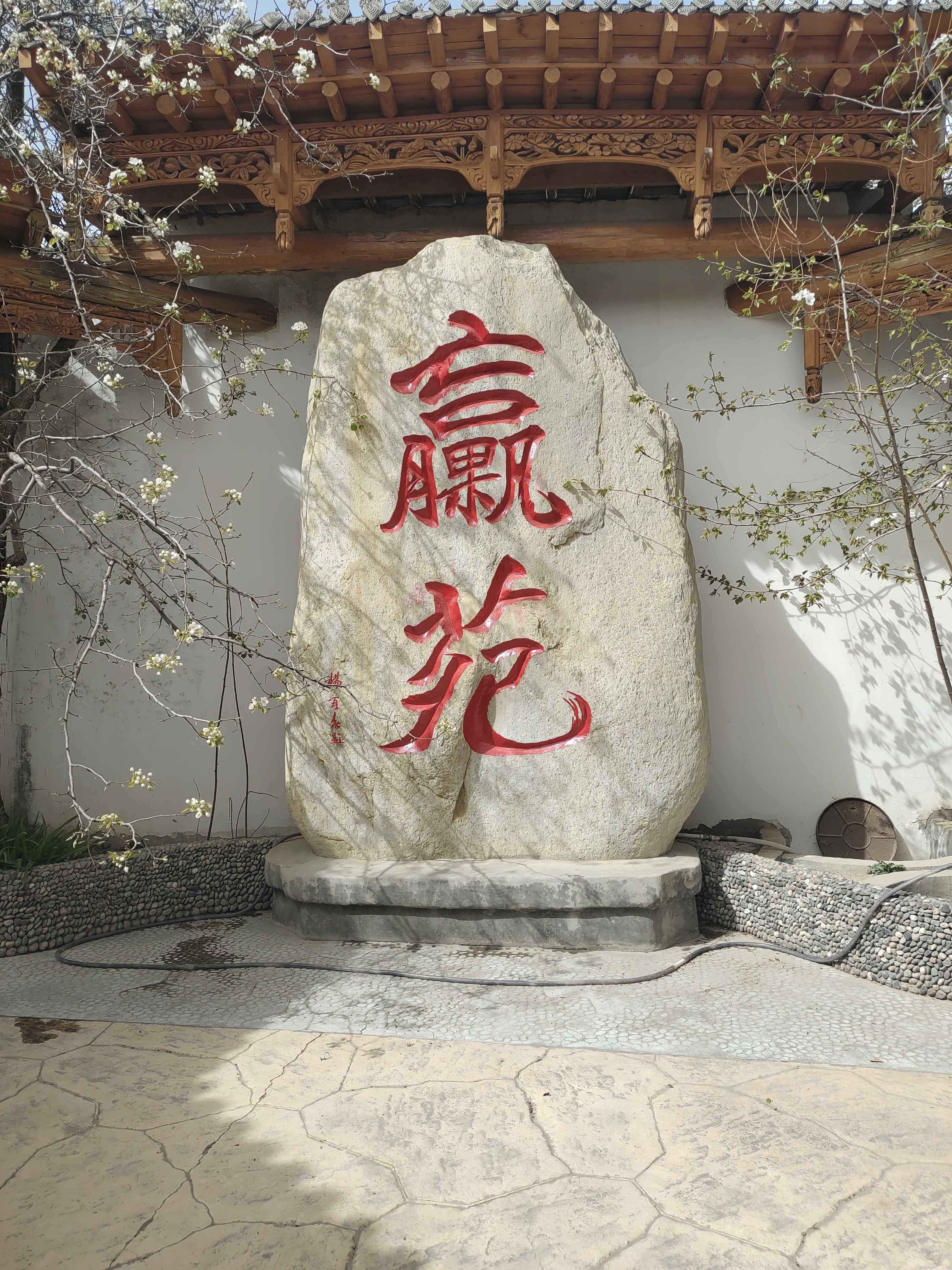 臝苑