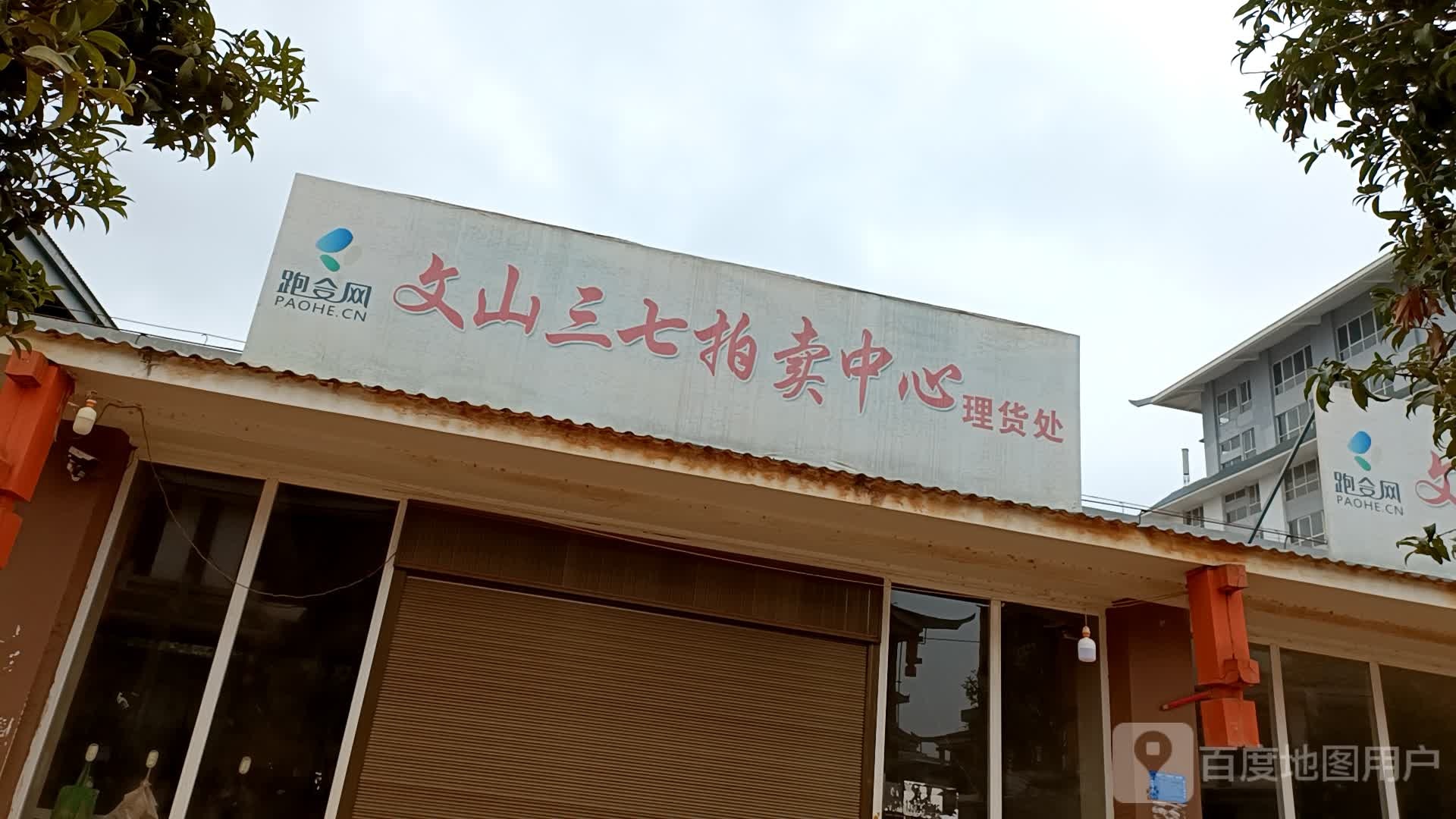 文山三七拍卖中心