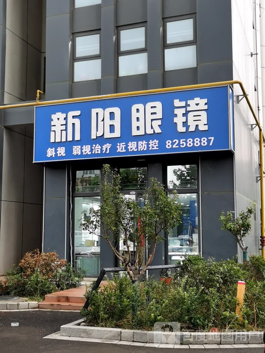 新阳眼镜(东营银座茂店)