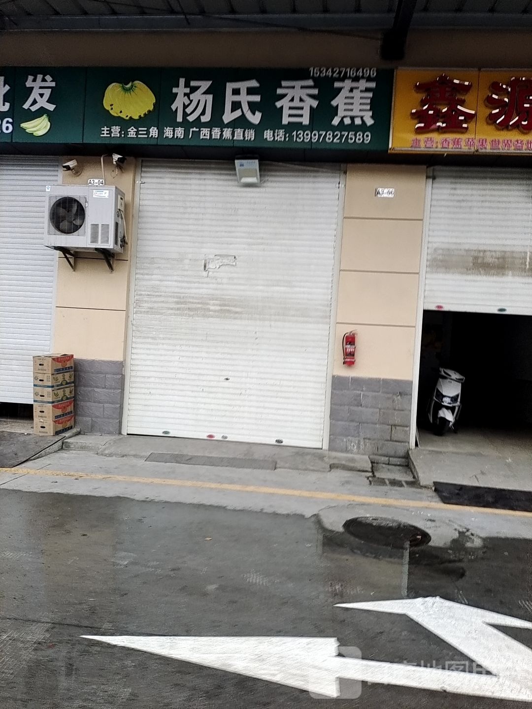 杨氏香蕉