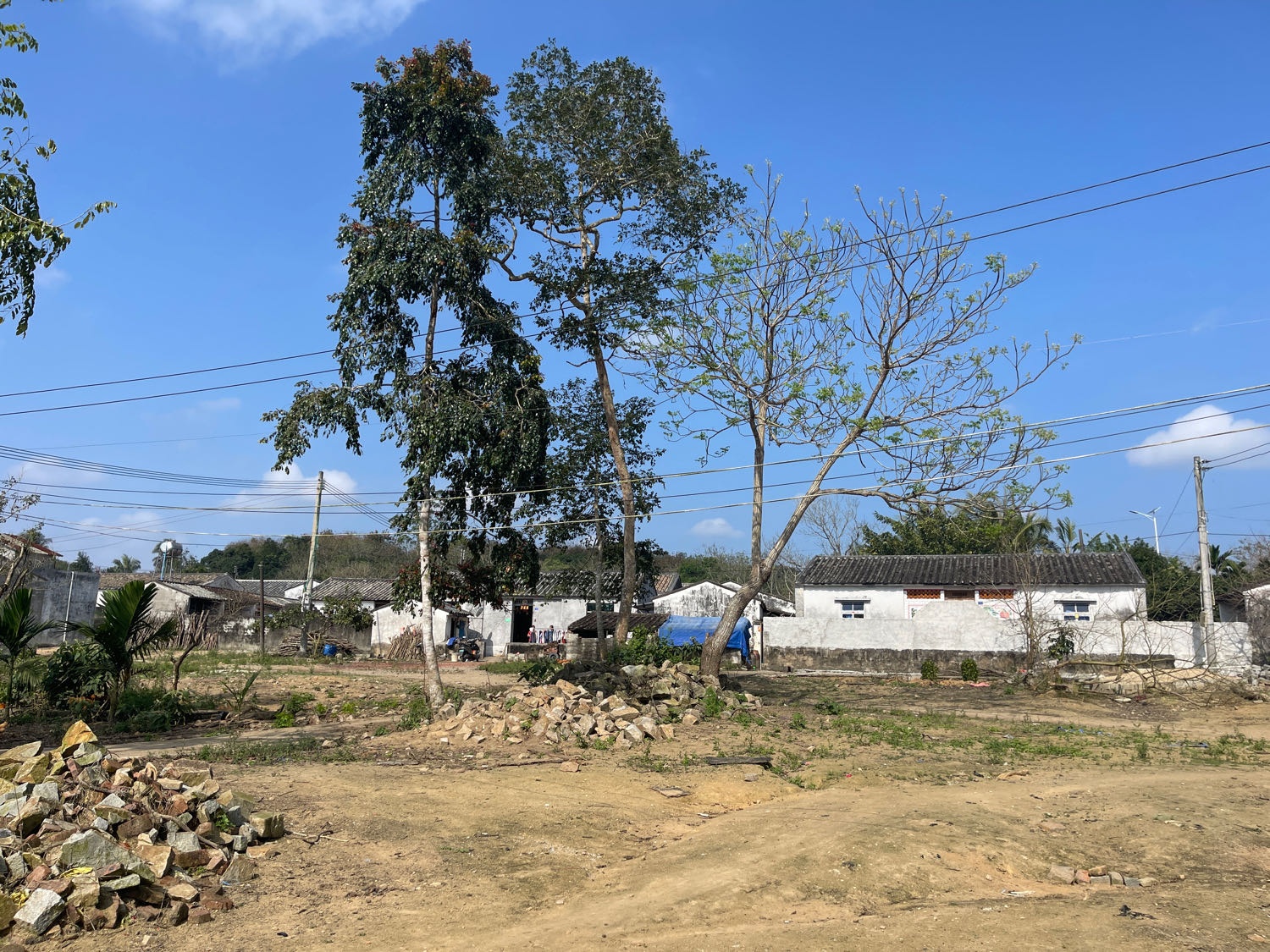 海南省澄迈县中兴镇加龙村委会龙坦外村