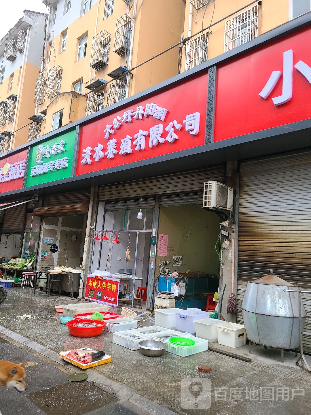 大公圩丹阳湖淡水养殖有限公司