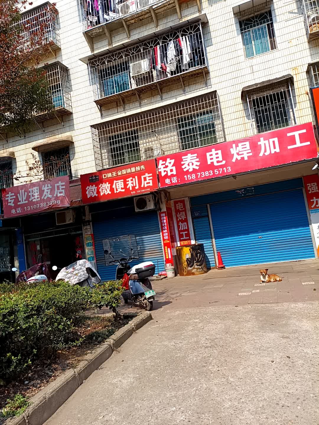 专业理发店