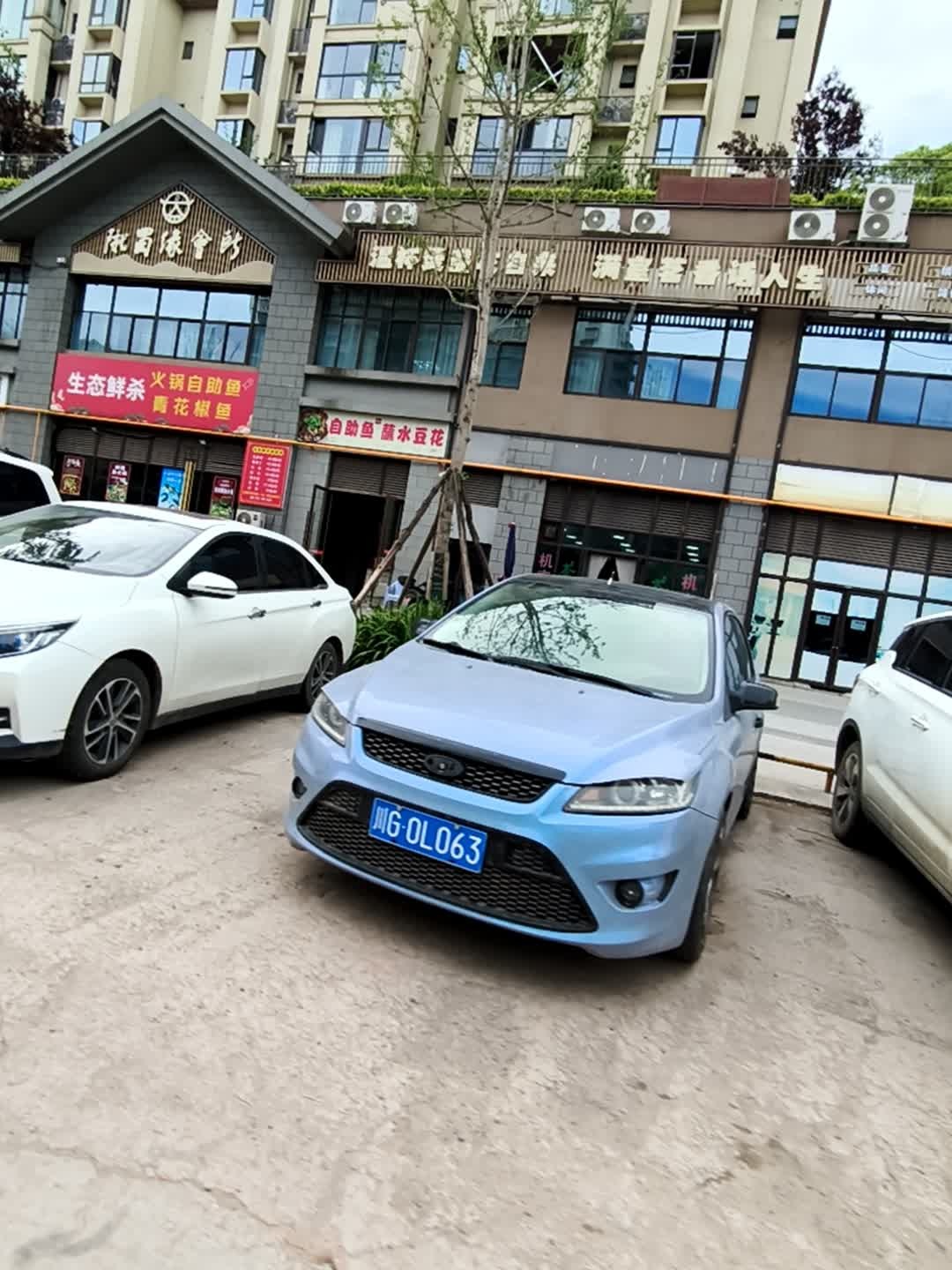 生态鲜杀火锅自助鱼