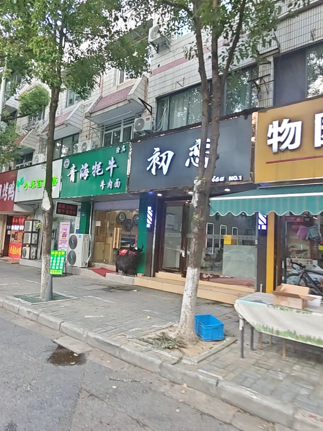 清真青海牦牛牛肉面