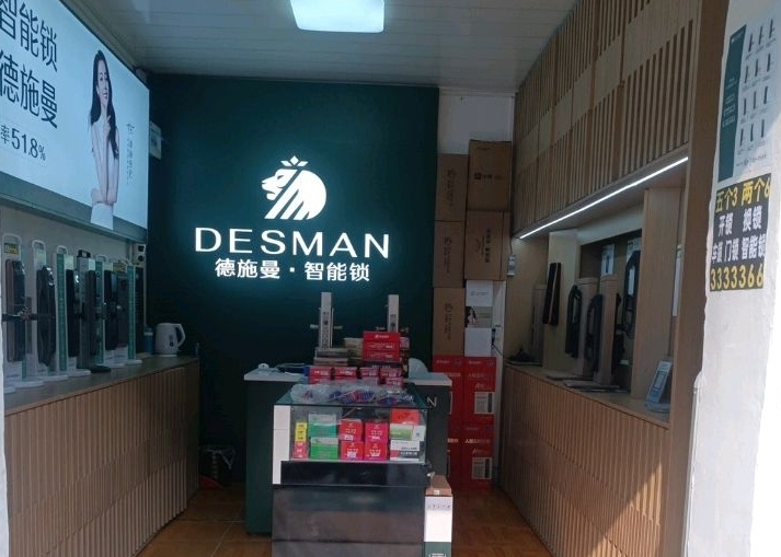 德施曼智能锁旗舰店(人民路店)