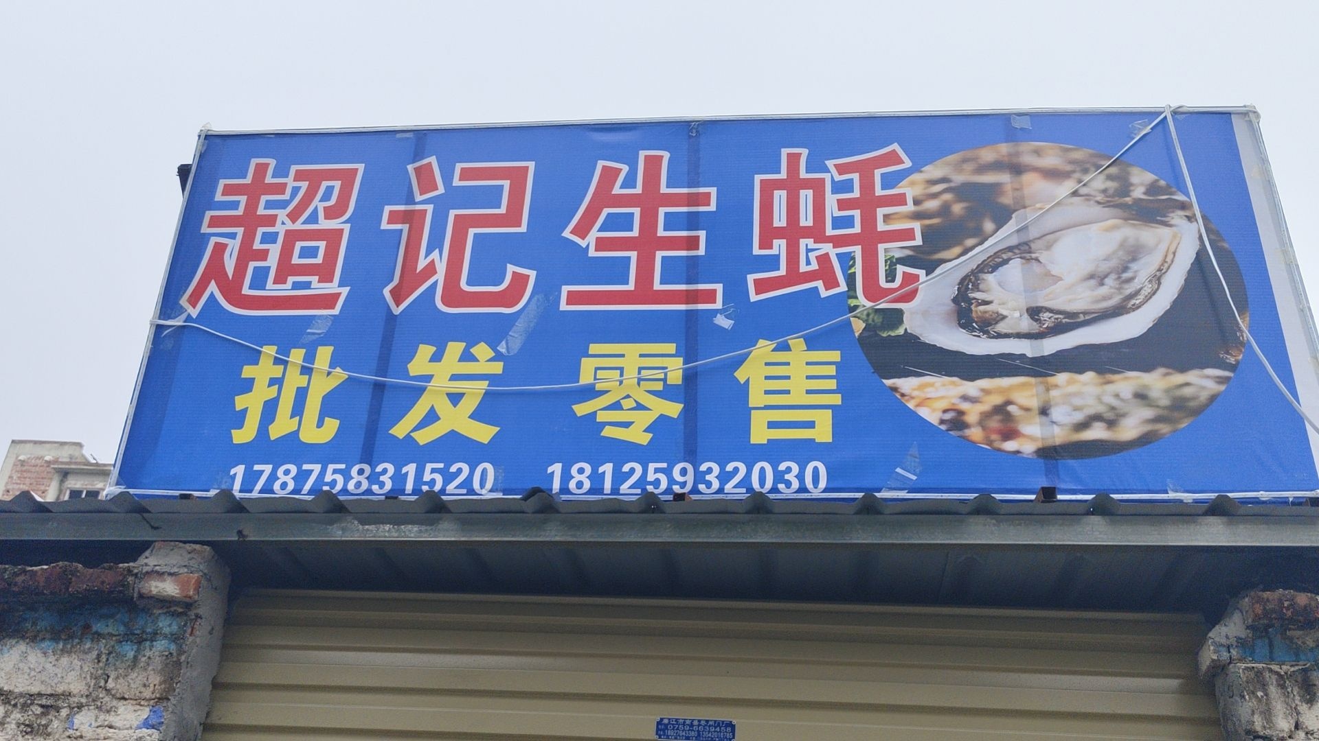 超记生蚝批发零售