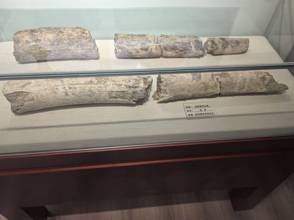 盐亭县博物馆