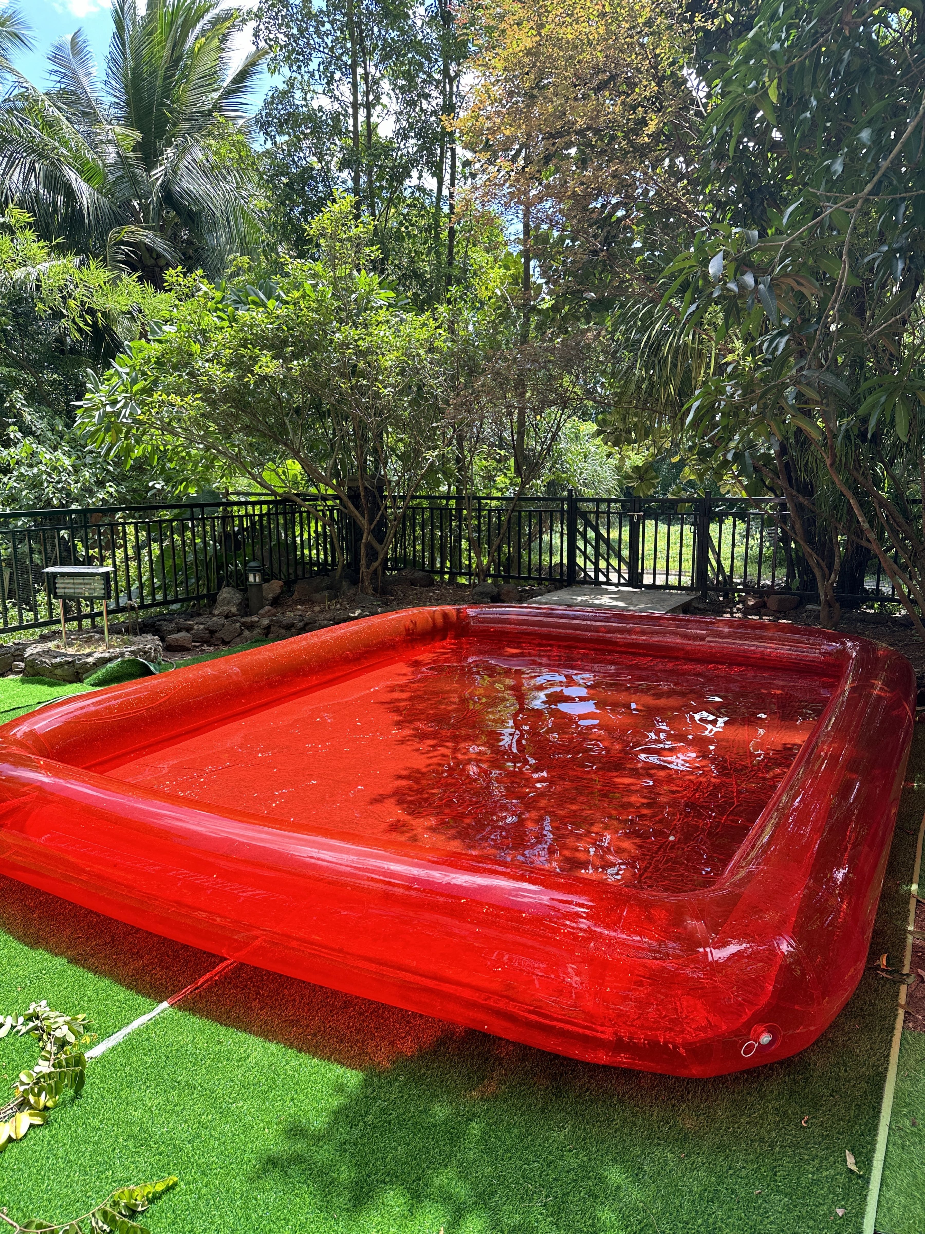 旺屋宠物幼稚园