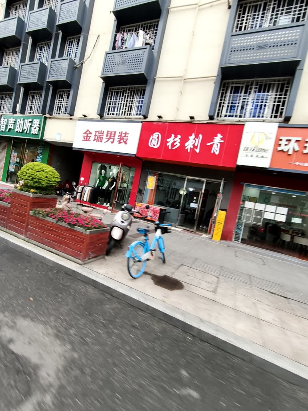 圆杉刺青
