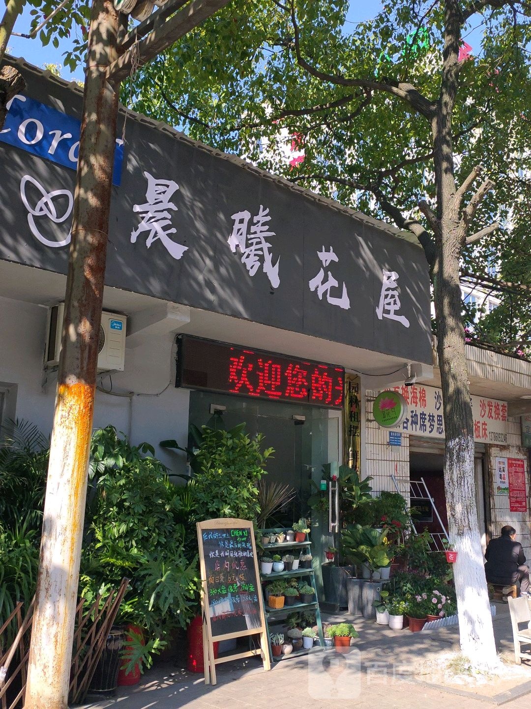 晨曦花屋