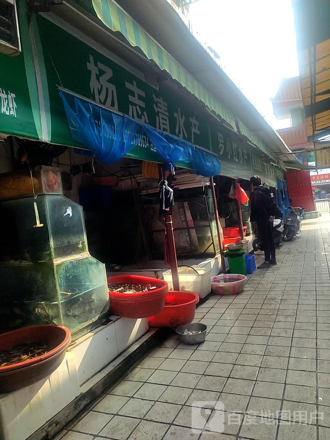 杨志清水产